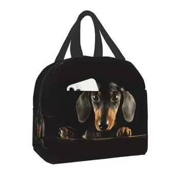 Изолированная сумка для ланча с таксой, портативный термоохладитель, коробка для бенто с едой для работы, учебы, путешествий, Сосиски, сосиски, сумки для ланча для собак